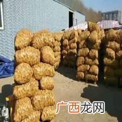 无需开店暴利小生意 怎么做小生意创业