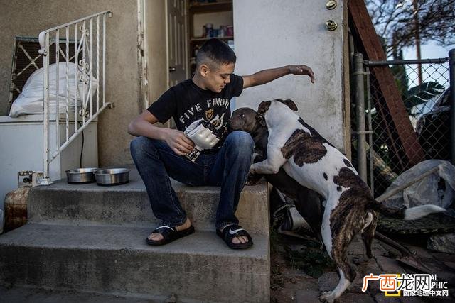 少儿搏击课程计划,少儿搏击训练内容