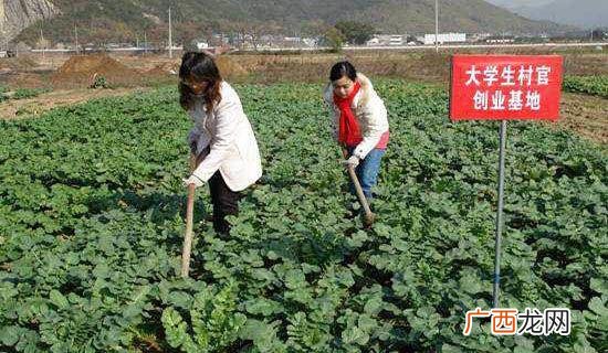 校园创业项目点子,电子创业策划书