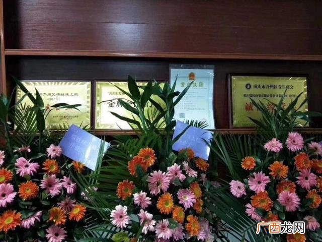微商零食免费代理一件代发,小零食代理