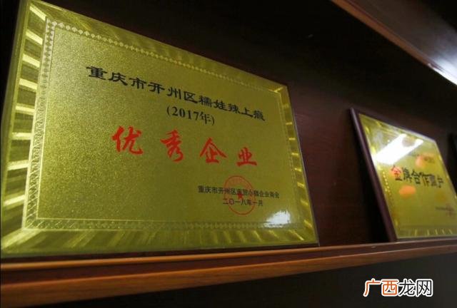 微商零食免费代理一件代发,小零食代理