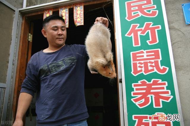 最赚钱行业 暴利,2021年致富项目