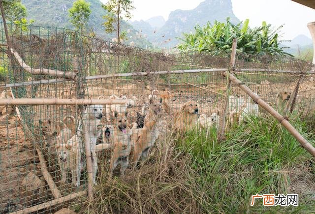 最赚钱行业 暴利,2021年致富项目