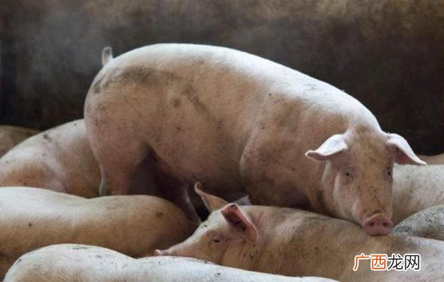 最赚钱行业 暴利,2021年致富项目