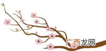 湖南俏嘴巴食品公司 俏歪嘴公司