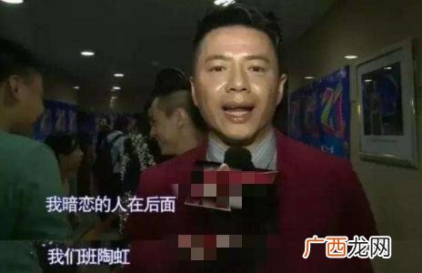 段奕宏爱陶虹,段宏奕陶红