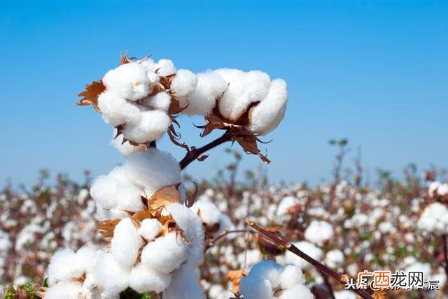 旧衣服回收生意怎么做 回收旧衣服多少钱一斤怎么联系