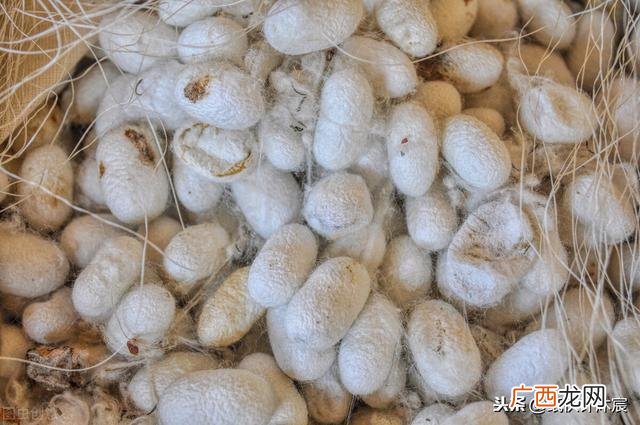 旧衣服回收生意怎么做 回收旧衣服多少钱一斤怎么联系