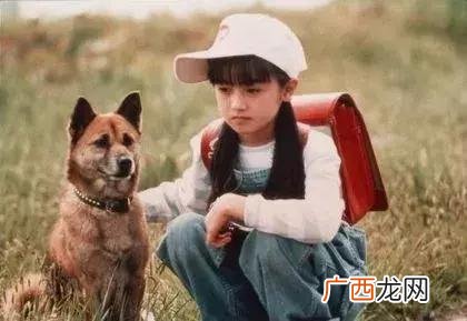 无家可归的小孩2日剧,无家可归的女孩日剧